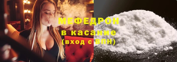 шишки Няндома