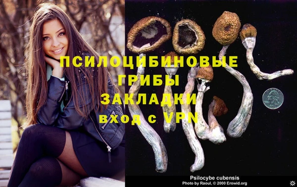 Альфа ПВП Беломорск
